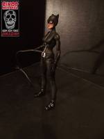 Catwoman (DC Universe) Custom Action Figure