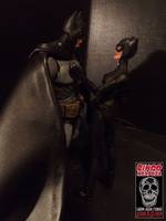 Catwoman (DC Universe) Custom Action Figure