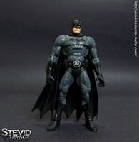 Batman (DC Universe) Custom Action Figure