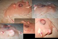 The Blob (1988) (Original) Custom Miniature / Figurine