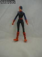 B3gw528 Ravager Rose Wilson (Nightwing Rogues) (Batman) Custom Action Figure