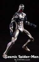 Marvel Universe Cosmic Spider-Man (Marvel Universe) Custom Action Figure