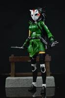 Young Justice Cheshire Custom Figure (Young Justice) Custom Action Figure