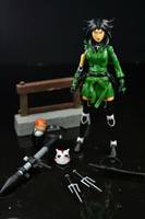 Young Justice Cheshire Custom Figure (Young Justice) Custom Action Figure