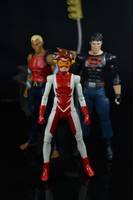 Impulse (Young Justice) Custom Action Figure