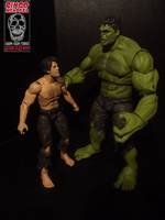 Avengers Movie Bruce Banner Post Hulk Experience (Avengers) Custom Action Figure