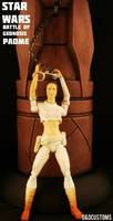 PADME AMIDALA ATTACK of the CLONES (Star Wars) Custom Action Figure