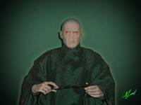 Lord Voldemort 12" (Harry Potter) Custom Action Figure