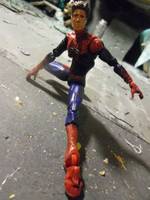 Amazing Spider-Man (Marvel Universe) Custom Action Figure