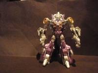 Transformers Fall of Cybertron: Hardshell (Transformers) Custom Action Figure