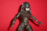 Nan-De than-Gaun (Arena Attire) (Predator) Custom Action Figure