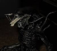 Sangalien (Aliens) Custom Action Figure