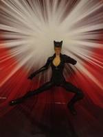 Catwoman (DC Universe) Custom Action Figure