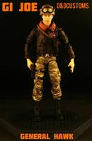 General Hawk (G.I. Joe) Custom Action Figure