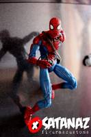 Spiderman (Marvel Legends) Custom Action Figure