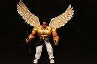 Warrior Angel Chazak Zroa (My Heroes) Custom Action Figure