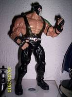 Bane (DC Universe) Custom Action Figure