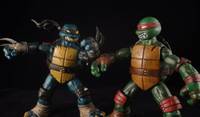 Slash (Teenage Mutant Ninja Turtles) Custom Action Figure