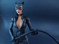 Arkham City Catwoman (Batman - Arkham City) Custom Action Figure