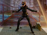Catwoman    ( TDKR ) (DC Infinite Heroes) Custom Action Figure