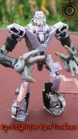 Cosmic Vehicon (Transformers) Custom Action Figure
