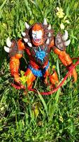 Beastman (Masters of the Universe) Custom Action Figure