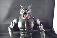 Wildcat (Tom Bronson) (DC Universe) Custom Action Figure