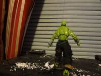 Killer Croc (Batman) Custom Action Figure