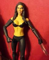 X-23 Custom Figure (Wrestling) Custom Action Figure