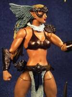 Amazonian Warrior (Spawn) Custom Action Figure