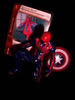 Concept Spiderman (Marvel Universe) Custom Action Figure