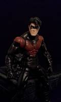 Nightwing (DC Universe) Custom Action Figure