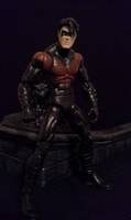 Nightwing (DC Universe) Custom Action Figure