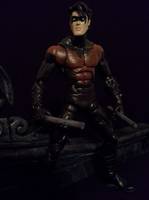 Nightwing (DC Universe) Custom Action Figure