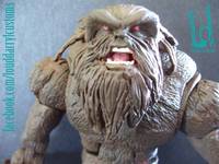 The Shaggy Man (DC Universe) Custom Action Figure
