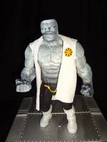 Strata L.E.G.I.O.N Custom (DC Universe) Custom Action Figure