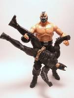 Bane Tom Hardy Sequal Concept (Marvel Legends) Custom Action Figure
