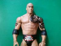 The Rock (Wrestling) Custom Action Figure