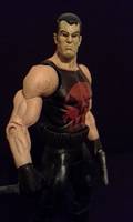 Punisher (DC Universe) Custom Action Figure