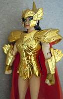 Wonder Woman Amazons Atack (Wonder Woman) Custom Action Figure