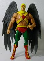 Hawkman Hooded Version Carter Hall All-Star Squadron Chairman (DC Universe) Custom Action Figure