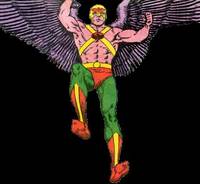 Hawkman Hooded Version Carter Hall All-Star Squadron Chairman (DC Universe) Custom Action Figure