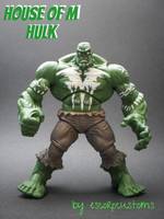 House of M Hulk (Marvel Universe) Custom Action Figure
