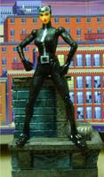Catwoman (DC Direct) Custom Action Figure