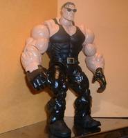 Bad to the Bone (Incredible Hulk) Custom Action Figure