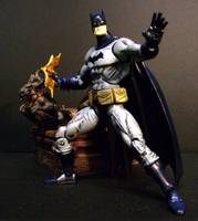 Batman (Batman) Custom Action Figure