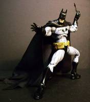 Batman (Batman) Custom Action Figure