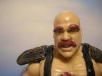 Tygar the Tamer of the Devyls Horn (Wrestling) Custom Action Figure