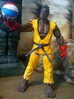 Sean (Street Fighter) Custom Action Figure