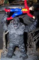Gorilla Grodd (DC Universe) Custom Action Figure